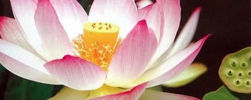 หมวดหนังสือหนุนใจ